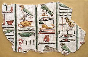 Archivo:Hieroglyphs from the tomb of Seti I