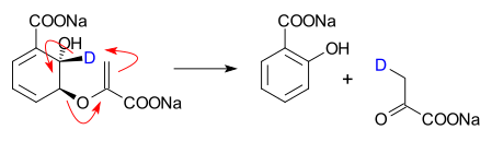 La isocorismato piruvato liasa convierte al isocorismato en salicilato y piruvato