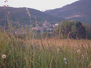 Archivo:Jatabe