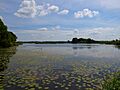 Klieken,Alte Elbe
