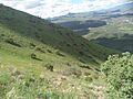 Ladera noroeste Cerro Grande
