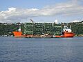 Narrows Bridge Sections BA