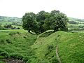 Offa's Dyke near Yew Tree Farm - geograph.org.uk - 450420