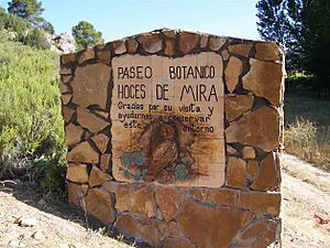 Archivo:Paseo hoces mira