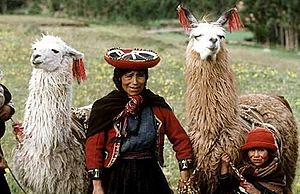 Archivo:QuechuaWoman