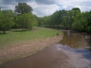 Archivo:Río Luján, a su paso por Mercedes