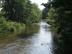 River Frome at Frampton - geograph.org.uk - 534063.jpg