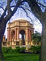 San Francisco Palace of Fine Arts - with Trees 01