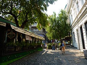 Archivo:Skadarska street