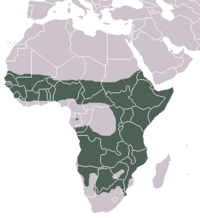 Distribución de la hiena manchada