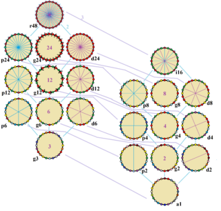 Archivo:Symmetries of icositetragon
