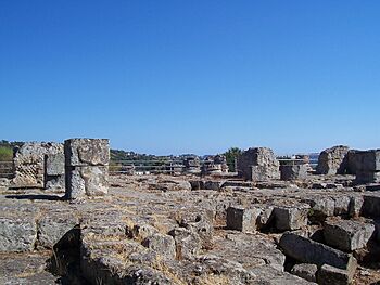 Temple of Apollo (Cumae)