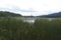 Thompson-Pond-2009