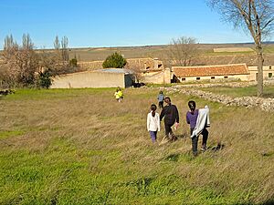 Archivo:Torrecilla, Condado de Castilnovo