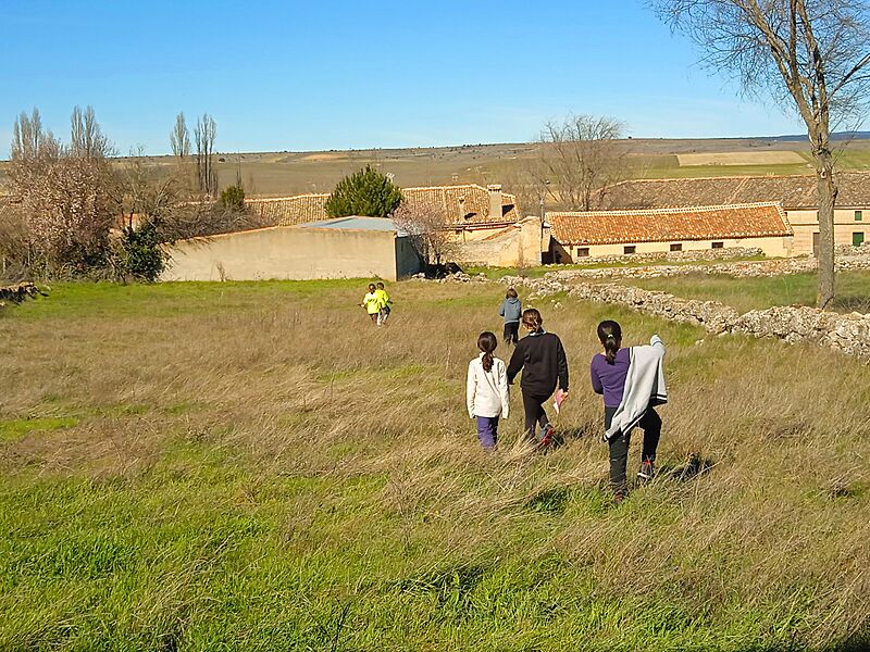 Torrecilla, Condado de Castilnovo