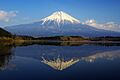 070127 tanuki-fuji