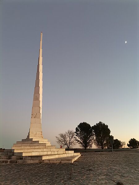 AgujaSerialFerSobrino