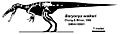 Baryonyx walkeri