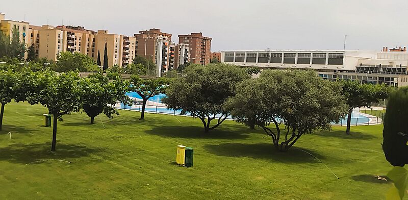 CDM Delicias