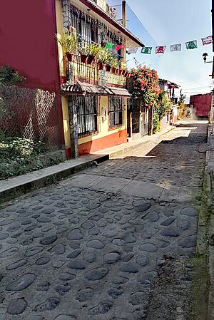 Archivo:Callejón empedrado típico de Coscomatepec