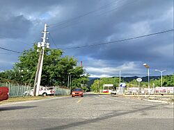 Carretera PR-385, Peñuelas, Puerto Rico.jpg