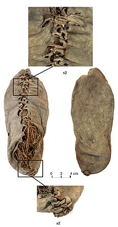 Archivo:Chalcolithic leather shoe from Areni-1 cave