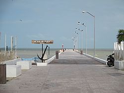 Chicxulub Wharf Yucatan Mexico.jpg