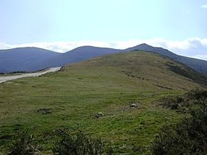 Archivo:Cima de la Perizuela