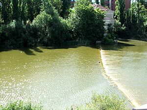 Archivo:Duero 8