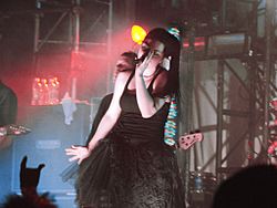Archivo:Evanescence concert
