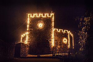 Archivo:FESTIVAL IRMANDIÑO MOECHE CASTILLO