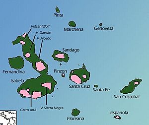 Archivo:Galapagos tortoise distribution map (in pink)
