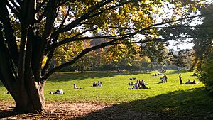 Archivo:Gazon Parc Monceau