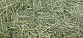 GrassHay1