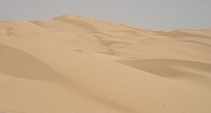 Archivo:Imperial sand dunes