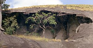Archivo:Kakoya Cave, Sierra Leone 1967