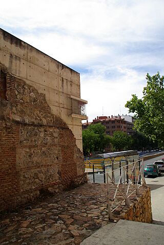 MADRID MURALLA CERCA DE FELIPE IV VISTAS - panoramio - Concepcion AMAT ORTA… (10).jpg