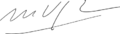 Mario Vargas Llosa Signature