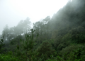 Oaxaca regiones sierra sur