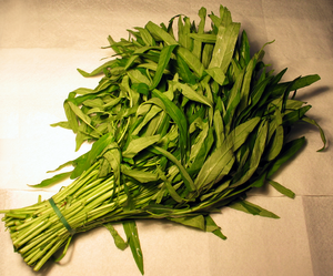 Archivo:Ong choy water spinach