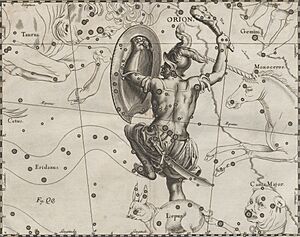 Archivo:Orion constellation - Prodromus astronomiae 1690 (5590584)