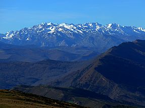 Archivo:Picos de Europa vistos desde el monte Ibio