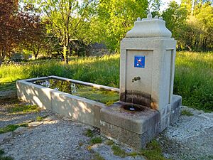 Archivo:Pilón de La Salceda