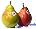 Poires williams Vertes et Rouges Savoie