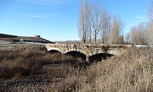 Archivo:Puente de Gozón de Ucieza-P (4) - copia