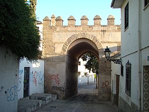 Puerta de Fajalauza.JPG