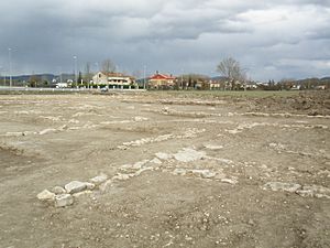Archivo:Restos en Deóbriga (2010) - 1