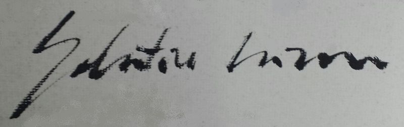 Salvatore Garau firm