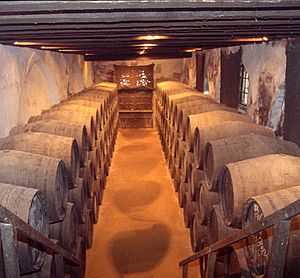 Archivo:Sherry cellar, Solera system, 2003
