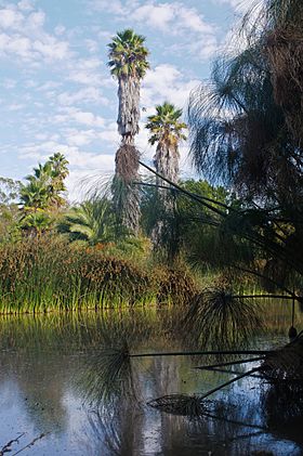 South Bay Botanic Garden, Palos Verdes Peninsula (8038130435).jpg